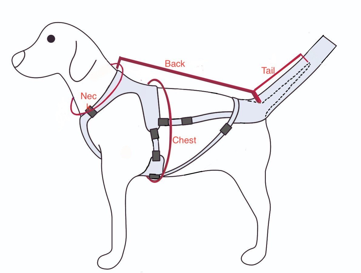 Sizing Chart: How to Measure