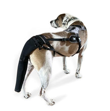 K9 TailSaver® Set
