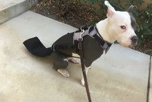 K9 TailSaver® Set