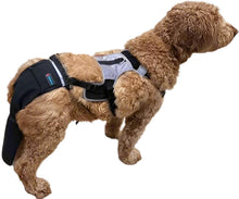 K9 TailSaver® Set