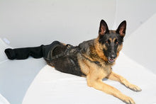 K9 TailSaver® Set